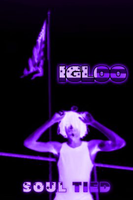 03 iglloo
