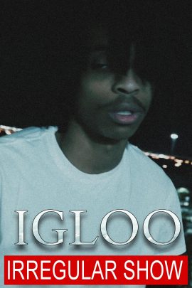 04 igloo2