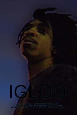 05 igloo3